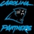 Panthers Fans icon