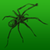 Fear of spiders - phobia treatment icon