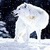 Snowy White Wolf Live Wallpaper icon