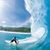 Surf Wallpaper HD icon