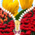 Tulips Zipper Lock Screen Best icon