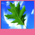 Best Leaves Live Wallpapers icon