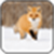 Arctic fox Image icon