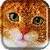 Fluffy Kitten Live Wallpaper icon