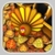 Cookie Dozer - Thanksgiving icon