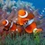Underwater Clown Fish Live Wallpaper icon