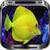 Colorful Fish Live HD Wallpaper icon