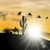 Desert Sunset LWP icon