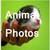 Adorable Animals Gallery icon