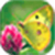 Butterfly Wallpaper_1 icon