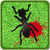 AntsKiller icon