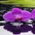 Purple Stone Flower Live Wallpaper icon