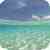 Blue ocean waves HD Wallpaper icon