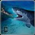 Hungry Blue Shark Revenge 2016 icon