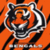 Bengals Football Fans icon
