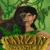 TarzanAdventre icon