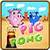 Pig Pong icon