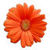 Free Wallpaper Flower v1 icon