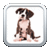 Name That Dog Breed Trivia Educational Kids Game  icon