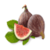 Benefits of Figs icon