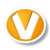 ooVoo Video Chat icon