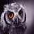owl livewallpaper icon