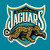 Jacksonville Jaguars Fan App icon