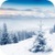 Snowfall 3D Live Wallpaper  icon