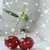 Cherry Shine Live Wallpaper icon