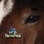 HorseWorld Lite icon