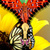Butterfly Zipper Lock Screen Best icon