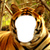 Tiger Photo Montage icon