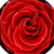 Nice Roses Photo Collage icon