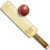 Cricket World Championship CWC icon