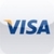 Visa Mobile for iCarte icon