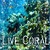 Coral Reef In the Deep Sea LWP free icon