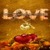 Autumn Love Live Wallpaper icon