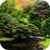 Koi Zen Garden 3D Live Wallpaper icon