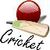 Ball By Ball live cricket scores icon