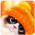 Cat and Owl Live Wallpaper icon