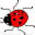 War Beetle Game icon
