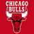Chicago Bulls Fan icon