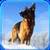 Arctic Shepherd Dog Simulator app for free