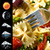 Weather Clock Widget Pasta icon