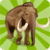 Wild animals memory game app for free