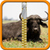 Wild Animal Zipper Lock Screen Free app for free