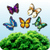Match 3 Butterfly icon