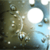 Water Drops Wallpaper HD icon