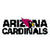 Arizona Cardinals fan icon