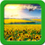 Sunflower Live Wallpapers icon